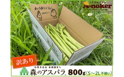 味はそのまま訳あり 森のアスパラ 800g (料理王国100選入賞 2021) アスパラ アスパラガス 規格外品 訳あり 佐賀県 太良町