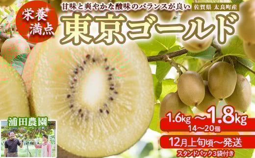 LB-13 栄養満点！東京ゴールド（キウイフルーツ）