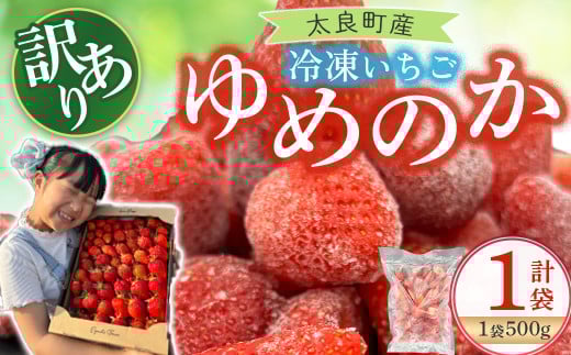 訳あり！太良町産「ゆめのか」冷凍いちご500ｇ×１袋 佐賀県 太良町