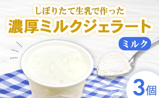 しぼりたて生乳で作った濃厚ミルクジェラート 3個セット  ジェラート シャーべット アイスクリーム アイス 生乳 ミルク ジェラート クリーミー デザート 氷菓子 スイーツ 濃厚 冷凍 佐賀県 太良町