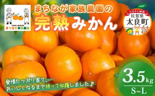 まちなが家族農園の完熟みかん 3.5kg みかん ミカン 蜜柑 たらみかん 太良みかん 温州みかん 完熟みかん 甘熟 柑橘 国産 佐賀県産 太良町 こだわり 有機栽培 産地直送 贈答品 詰め合わせ 極甘