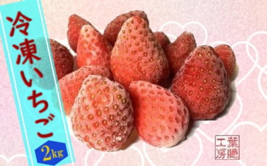 冷凍いちご ２ｋｇ