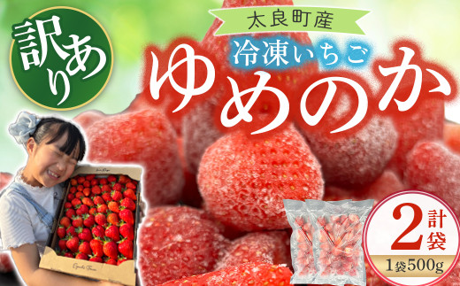 訳あり！太良町産「ゆめのか」冷凍いちご500ｇ×２袋 佐賀県 太良町
