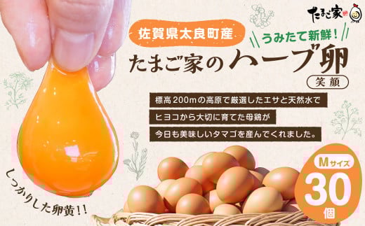 MA-2 たまご家のハーブ卵（笑顔）30個