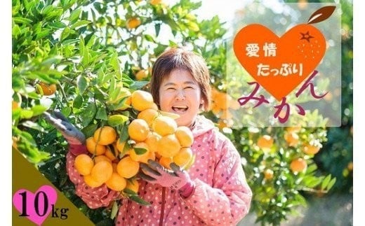 N-218 愛情たっぷりたらみかん（大玉）10kg