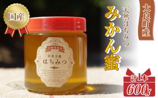 N-225 太良町産　はちみつ（みかん蜜）600g