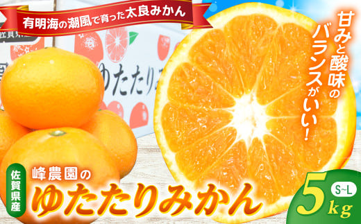 峰農園のゆたたりみかん  5kg 温州 みかん ミカン 蜜柑 温州蜜柑 温州ミカン フルーツ くだもの 果物 ミネラル豊富 国産 産地直送 贈答用 お中元 お歳暮 月の引力が見える町 太良町 ふるさと納税 返礼品 さがみかん 太良みかん 美味しい 多良岳山系の水 有明海の潮風 佐賀県 太良町