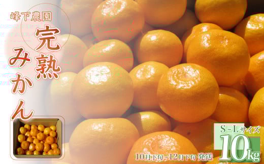 N-49 峰下農園の完熟みかん　１０ｋｇ