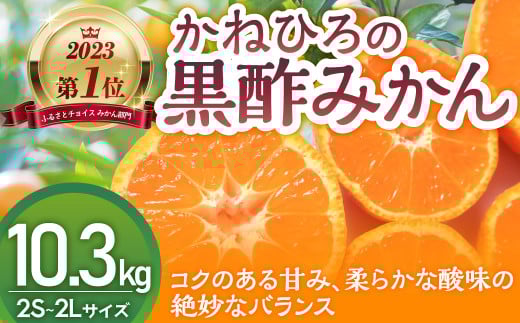 かねひろの黒酢みかん【2023年 第1位ふるさとチョイス みかん 部門】10.3kg 2S～2L 新鮮 黒酢 アミノ酸 みかん 蜜柑 ミカン 温州みかん 10kg 甘い 柑橘 果実 フルーツ オレンジ 人気 おすすめ 贈答 ギフト 正月 実家 産地 九州 佐賀県 太良町
