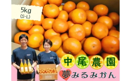 NA-10 中尾農園の夢みるみかん（S-L）５ｋｇ