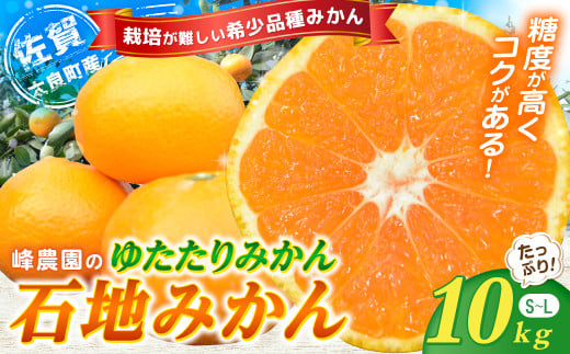 NB-14　峰農園のゆたたりみかん【石地みかん】10kg