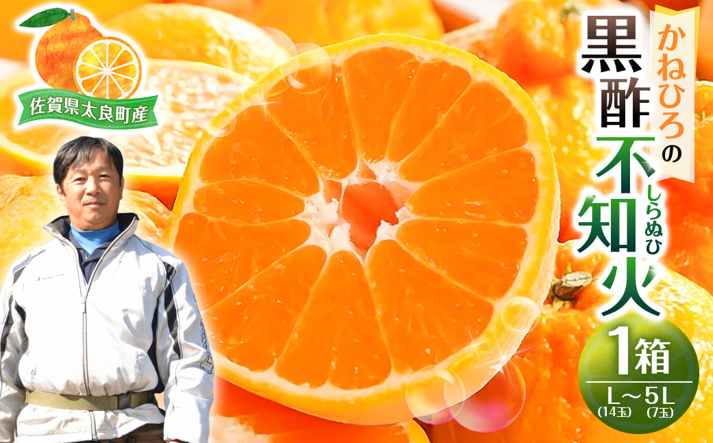かねひろの黒酢不知火 【2026年3月上旬～5月下旬まで順次発送予定】 フルーツ 果物 柑橘 しらぬい 黒酢 みかん ミカン 蜜柑 黒酢みかん 黒酢アミノ酸 不知火みかん デコポン でこぽん 温州みかん 完熟みかん 国産 佐賀県産 期間限定 有機栽培 佐賀県 太良町 ふるさとチョイス限定 NB23x1