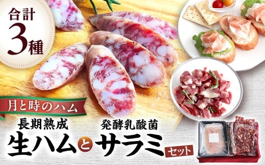 田島畜産の月と時のハム(長期熟成生ハム)と発酵乳酸菌サラミセット  長期熟成 生ハム ハム 塩漬け サラミ 豚肉 ミンチ モモ肉 骨付 冷凍便 佐賀県 太良町