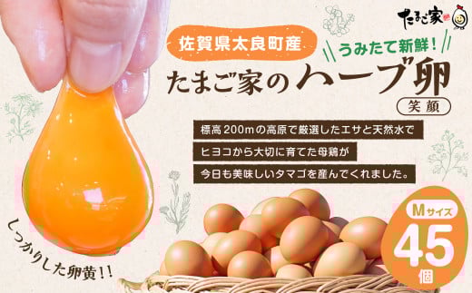 NB-6 たまご家のハーブ卵（笑顔）45個