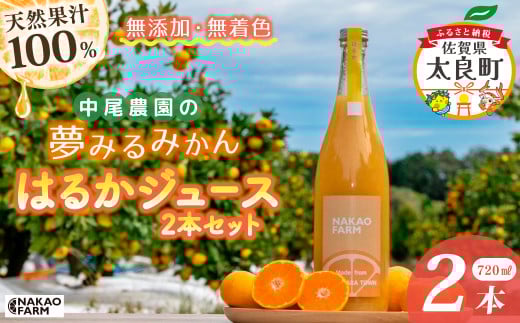 中尾農園の夢みるみかんはるかジュース2本セット 蜜柑ジュース ミカンジュース みかんジュース みかん はるか 720ml フルーツジュース くだもの 果物 減農薬 ミネラル豊富 ビタミン豊富 贈り物 ギフト 佐賀県 太良町
