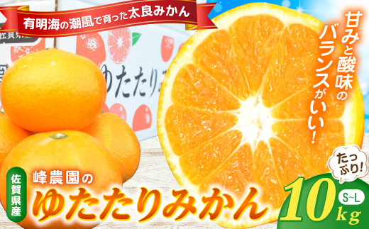 峰農園のゆたたりみかん  10kg 温州 みかん ミカン 蜜柑 温州蜜柑 温州ミカン フルーツ くだもの 果物 ミネラル豊富 国産 産地直送 贈答用 お中元 お歳暮 月の引力が見える町 太良町 ふるさと納税 返礼品 さがみかん 太良みかん 美味しい 多良岳山系の水 有明海の潮風 佐賀県 太良町