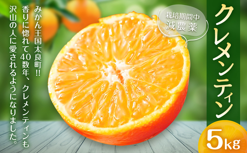 クレメンティン 5kg 【栽培期間中 減農薬】 クレメンティン ミカン みかん 柑橘 柑橘系 柑橘類 果物 くだもの フルーツ 国産 佐賀県 太良町 O26x1