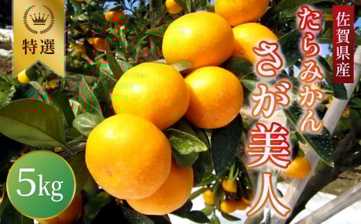 O-95 たらみかん「さが美人」5kg