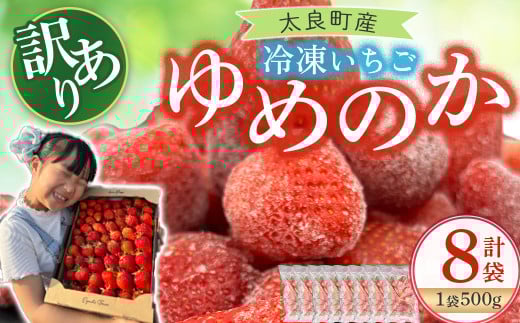 訳あり！太良町産「ゆめのか」冷凍いちご500ｇ×８袋 佐賀県 太良町