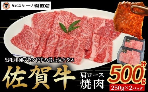 佐賀牛肩ロース焼肉 250g×2パック　牛肉 肉 牛 佐賀牛 ブランド牛 黒毛和牛 肩ロース 焼肉 焼き肉 BBQ バーベキュー 国産 国産牛 冷凍 佐賀県 太良町
