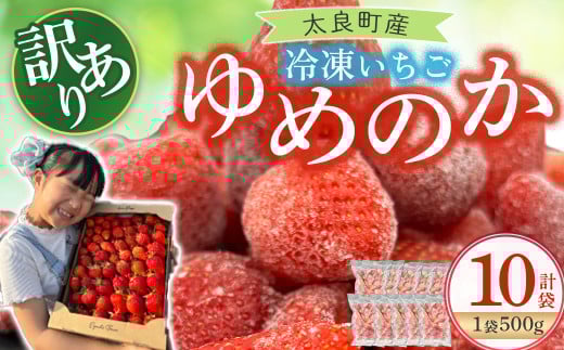 訳あり！太良町産「ゆめのか」冷凍いちご500ｇ×10袋 佐賀県 太良町