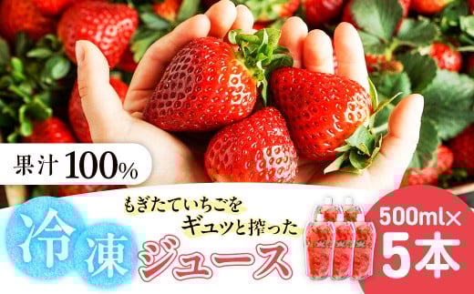 杉本農園のもぎたていちごをギュッと搾った100%冷凍ジュース 500ml×5本 ジュース ストレートジュース 100%ジュース フルーツジュース 飲料 果汁 いちご イチゴ 苺 フルーツ 佐賀県 太良町