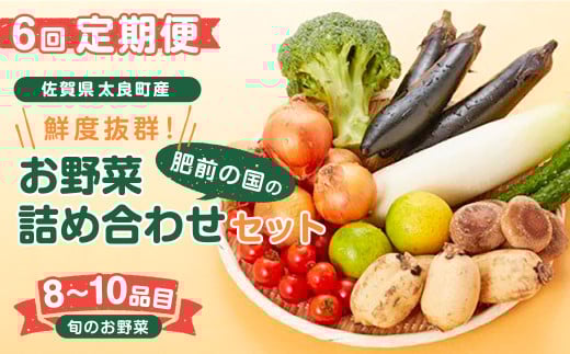 Q-49 【6回定期便】鮮度抜群！肥前の国のお野菜詰め合わせセット（8～10品目）