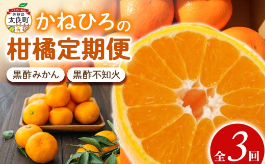 かねひろの柑橘定期便 3回コース みかん 蜜柑 ミカン 柑橘 黒酢みかん 黒酢不知火 果実 フルーツ 果物 くだもの 柑橘類 定期便 佐賀県 太良町