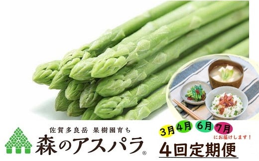 【令和7年3・4・6・7月発送】採れたて直送！ 「森のアスパラ」 定期便 4回コース グリーンアスパラ 1.1kg 4回発送 アスパラガス アスパラ 佐賀県 太良町