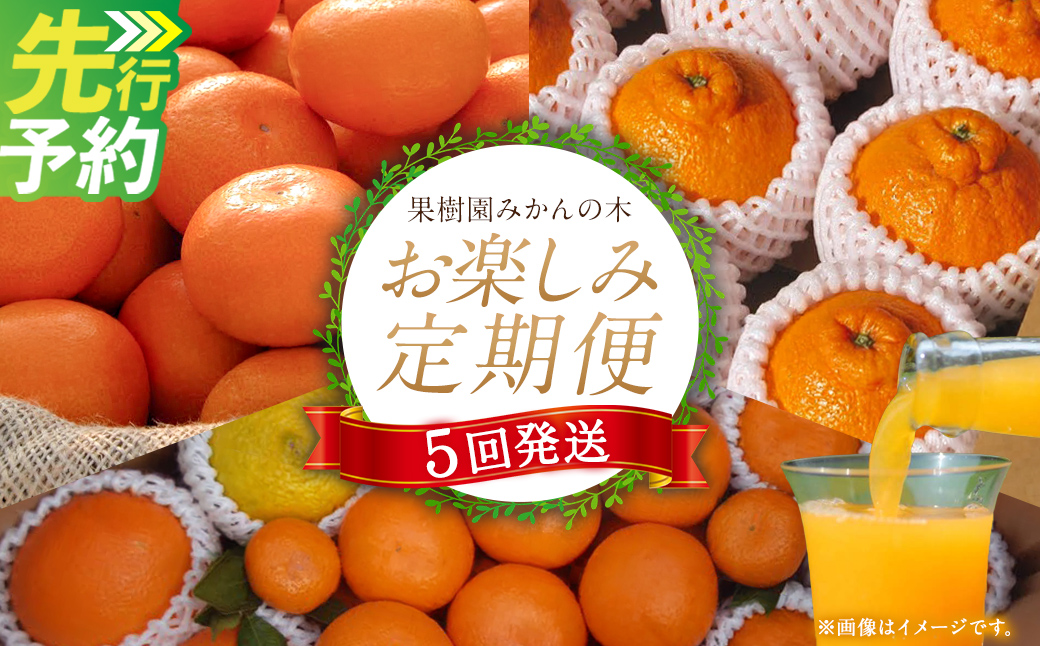【先行予約】「果樹園みかんの木」のお楽しみ５回定期便コース　みかん ミカン 蜜柑 温州みかん 完熟みかん 甘熟 柑橘 しらぬひ でこぽん デコポン みかんジュース ストレートジュース 100％ジュース 有機栽培 国産 佐賀県産 太良町 こだわり 贈答品 産地直送 詰め合わせ 定期便 佐賀県 太良町 R37x1 【2026年11月下旬-2027年6月下旬発送予定】