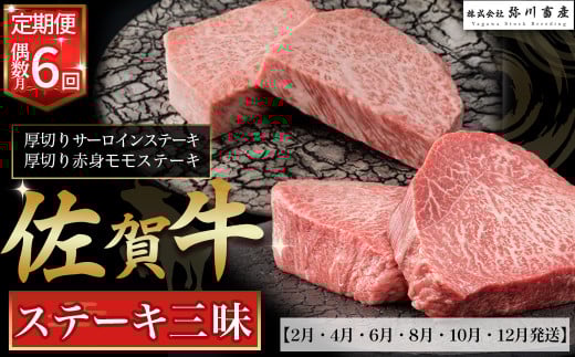 T-13 佐賀牛ステーキ三昧　お楽しみ６回コース