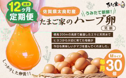 T-26 【12ヶ月定期便】たまご家のハーブ卵（笑顔）30個