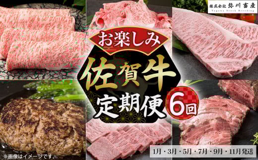 T-3 絶品と評判のハンバーグ付き！佐賀牛 お楽しみ便６回コース