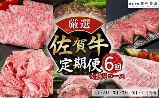 T-30佐賀牛 厳選！6回定期便 奇数月コース【1月・3月・5月・7月・9月・11月発送】