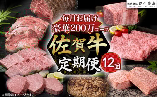 佐賀牛 極上！12回定期便 佐賀牛 ブランド牛 国産牛 牛肉 肉 定期便 佐賀県 太良町