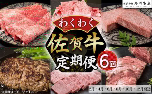 ZF-1 佐賀牛 わくわく便 ６回コース