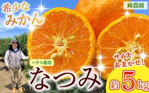 峰農園のハウスなつみ 5kg （サイズおまかせ） 【2026年3月下旬～4月下旬順次発送予定】 みかん ミカン 蜜柑 薄皮 マンダリン ポンカン 希少品種 太良みかん なつみ 柑橘 フルーツ 果物 完熟 甘い ハウス栽培 佐賀県 太良町 O165x1