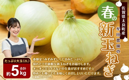 牟田農園の春の新玉ねぎ たっぷり大玉 5kg （2L）