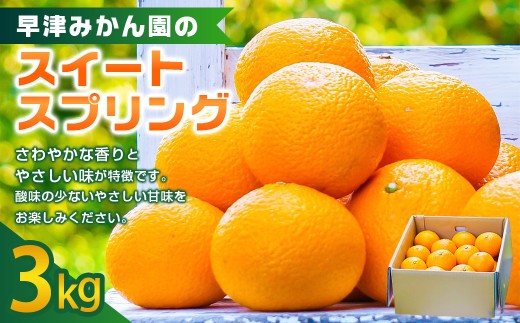 早津みかん園のスイートスプリング 3kg 【2026年2月上旬～3月上旬迄順次発送予定】 スイートスプリング みかん ミカン 柑橘 柑橘系 柑橘類 くだもの 果物 フルーツ 国産 佐賀県産 太良町産 佐賀県 太良町 常温