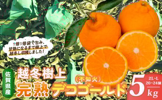 越冬樹上完熟デコゴールド （不知火） 5kg 【2026年2月下旬～4月下旬発送予定】 N53x1