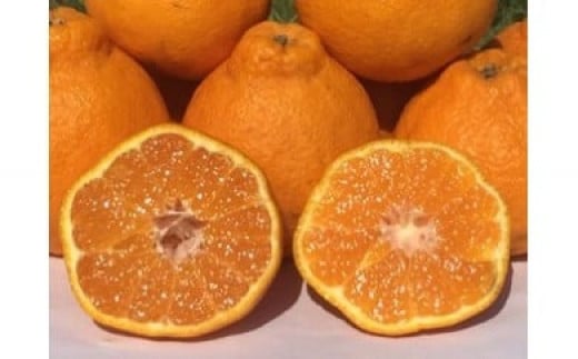 山本農園のおでこちゃん 4.5kg 【2026年3月下旬～4月下旬発送予定】 NC11x1