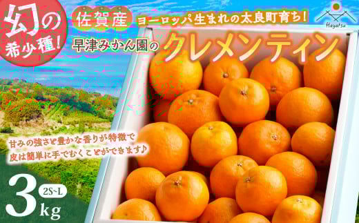 クレメンティン（2S～L）大小ミックス 3kg