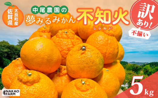 【訳あり】 中尾農園の夢みるみかん 不知火 （サイズ不揃い） 5kg 【2026年3月下旬～4月下旬まで順次発送予定】 みかん ミカン 蜜柑 柑橘 フルーツ くだもの 果物 不知火 ビタミン豊富 国産 月の引力が見える町 さがみかん 太良みかん 夢みるみかん おいしい 減農薬 濃厚 ギフト 贈答品 贈り物 佐賀県 太良町 N259x1