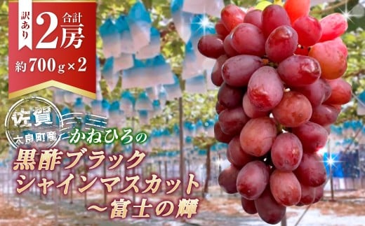 【訳あり】かねひろの黒酢ブラックシャインマスカット~富士の輝き(約700g×2房)