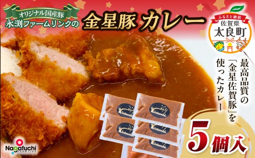 永渕ファームリンクの金星佐賀豚カレー ブランド豚 豚肉 ぶた肉 ポーク 金星佐賀豚 国産 ポークカレー カレー 金星カレー 食品 レトルト お手軽 調理 冷凍便 冷凍品 冷凍 佐賀県 太良町