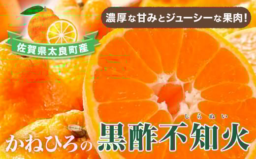 かねひろの黒酢不知火 [2026年3月上旬〜5月下旬まで順次発送予定] フルーツ 果物 柑橘 しらぬい 黒酢 みかん ミカン 蜜柑 黒酢みかん 黒酢アミノ酸 不知火みかん デコポン でこぽん 温州みかん 完熟みかん 国産 佐賀県産 期間限定 有機栽培 佐賀県 太良町 ふるさとチョイス限定 NB23x1