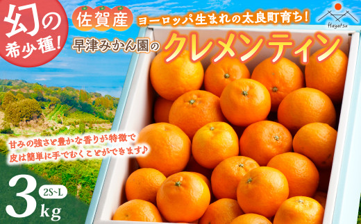 クレメンティン（2S～L）大小ミックス 3kg