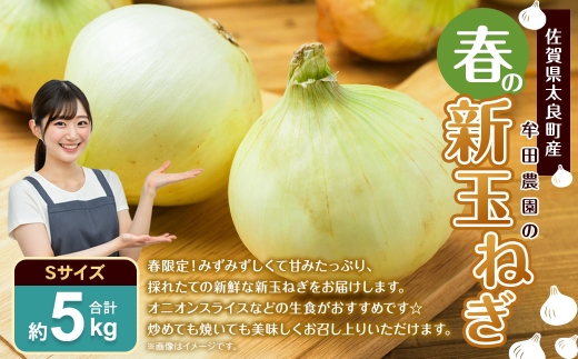 佐賀県太良町産 ～ 牟田農園の春の新玉ねぎ 5kg （ S ）