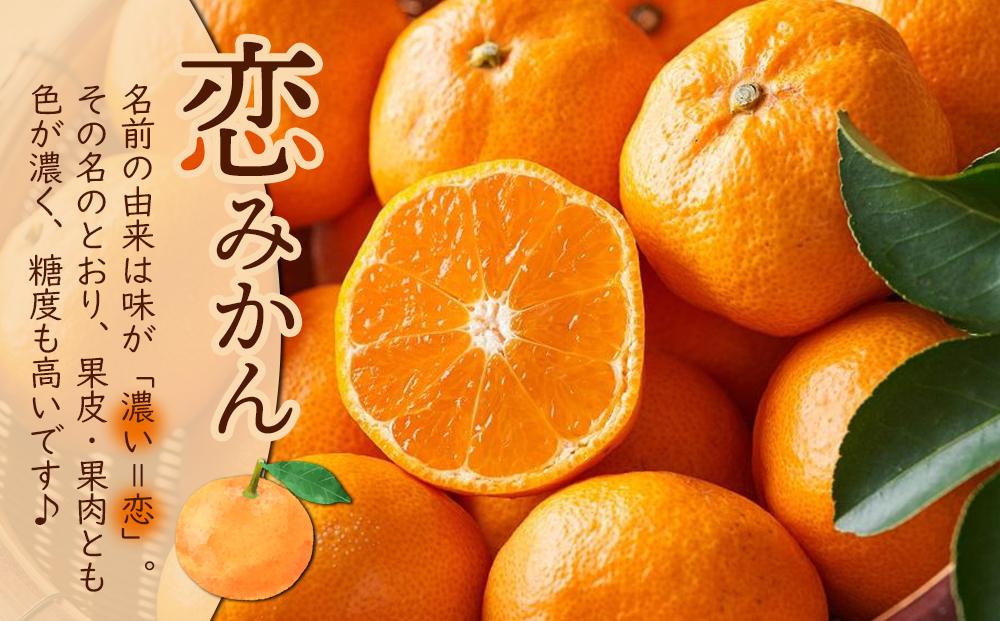 長崎恋みかん 5kg＜期間限定／先行予約＞【2025年11月中旬以降順次発送】