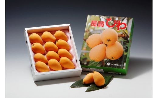 【先行予約 2026年3月下旬より順次発送】長崎ハウスびわ 500g